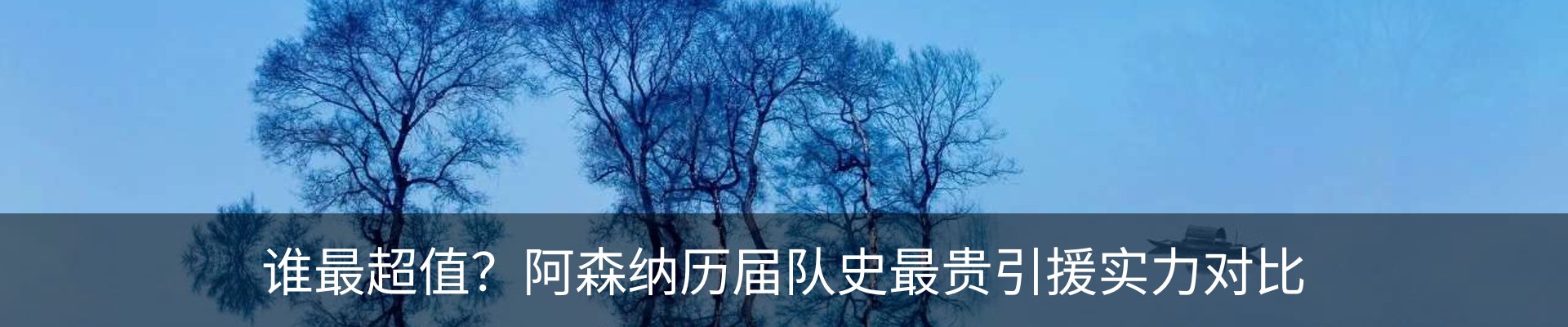 内页banner